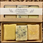 Rinkinys Citrusų Sodai