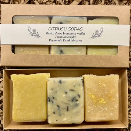 Rinkinys Citrusų Sodai